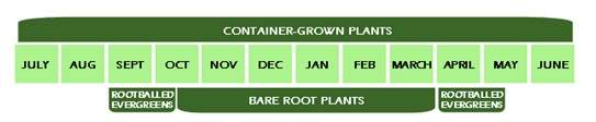 Planting time chart